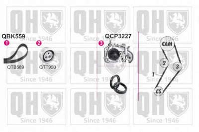 QUINTON HAZELL qbpk5590 -  Водяной насос + комплект зубчатого ремня